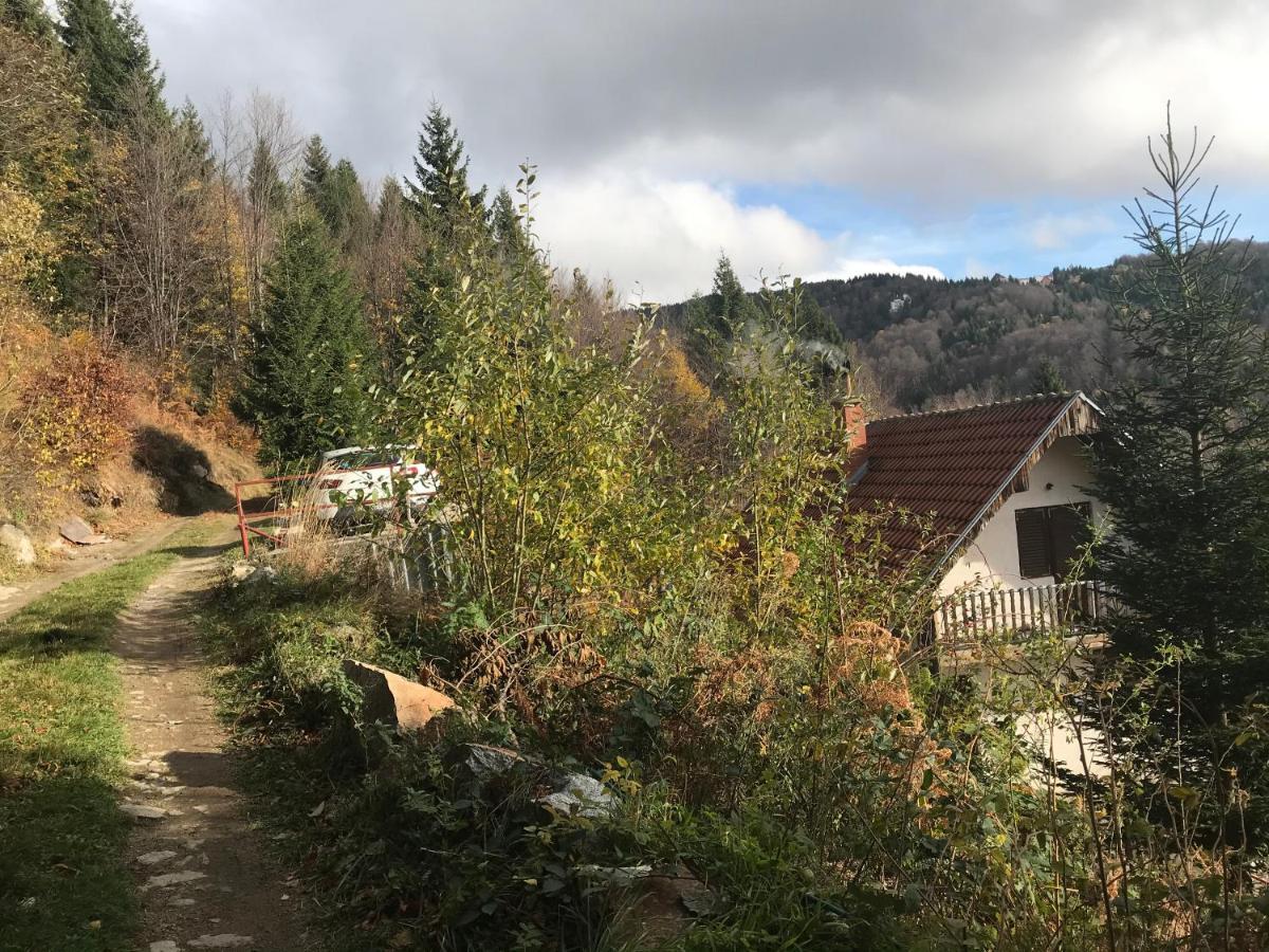 Holiday House Nesovic Kopaonik Exterior foto