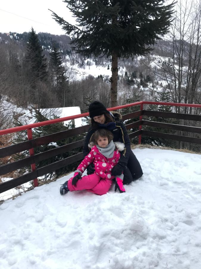 Holiday House Nesovic Kopaonik Exterior foto