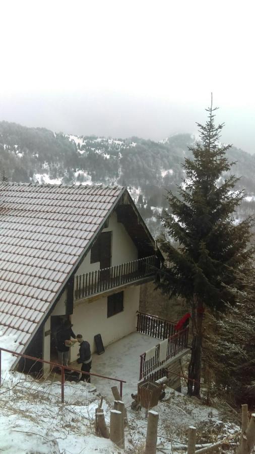 Holiday House Nesovic Kopaonik Exterior foto