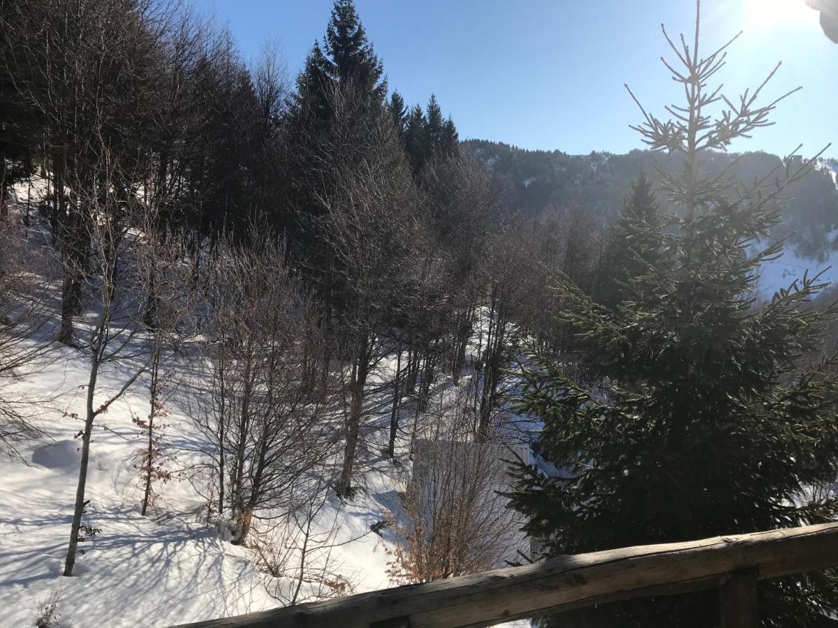 Holiday House Nesovic Kopaonik Exterior foto