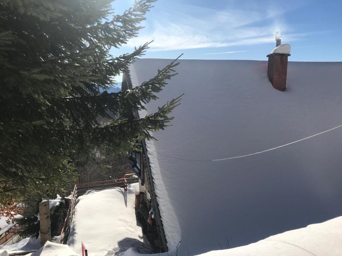 Holiday House Nesovic Kopaonik Exterior foto