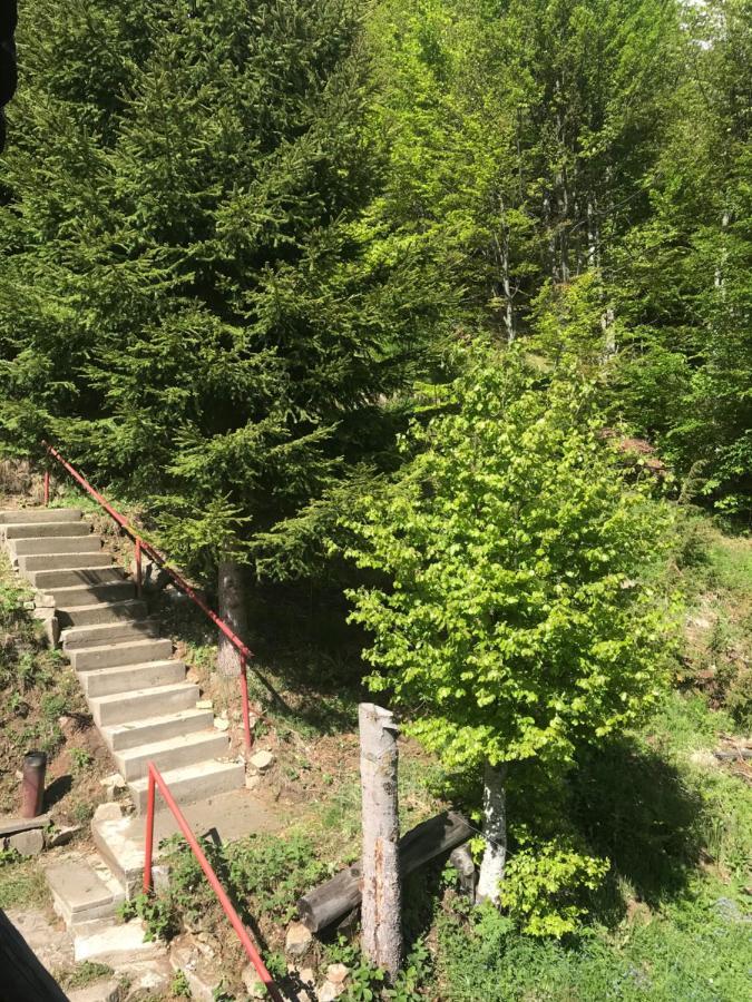Holiday House Nesovic Kopaonik Exterior foto